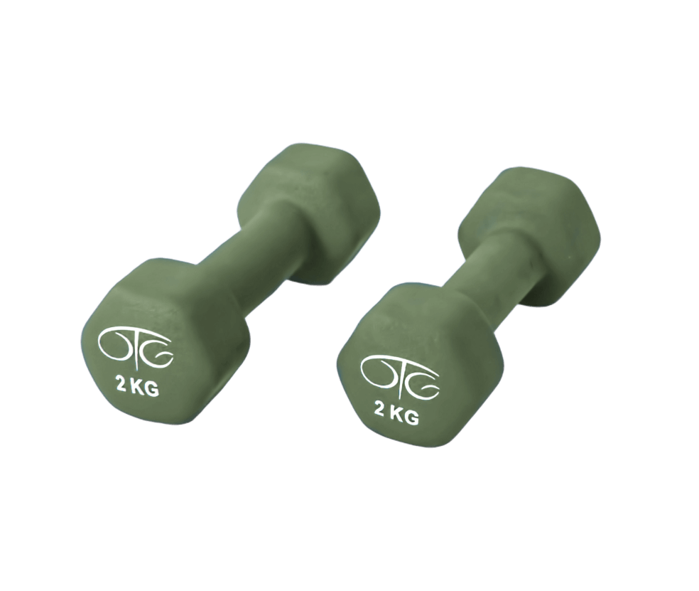 Dumbbells pair